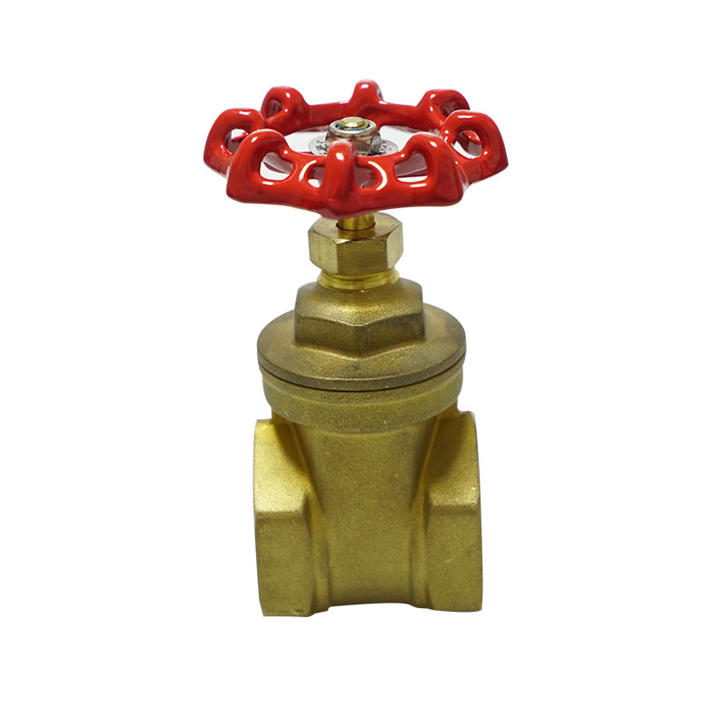 What Is a Brass Gate Valve Used For?