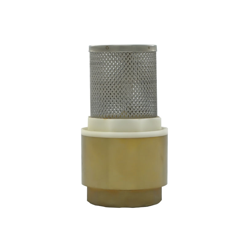 Cur Valvulae Important in Plumbing?