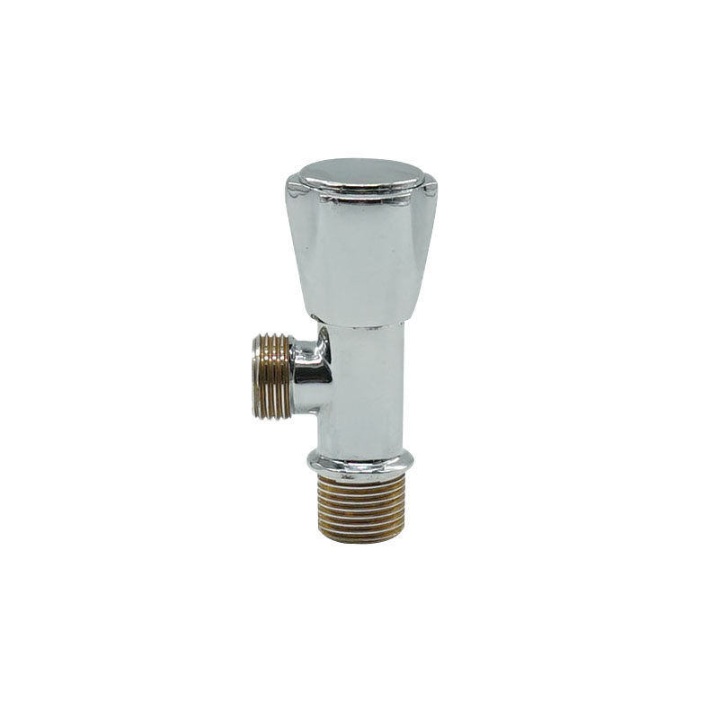Angulus aeneus Valve